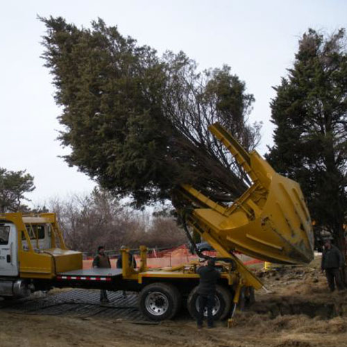 Tree Spade Transplanter (Truck/Loader/Trailer mounted)